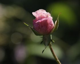 20110528_095859.jpg