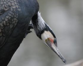 20070309_162702_Forum.jpg